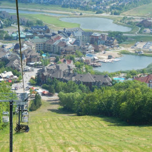 Meet your Posher, Bernadette